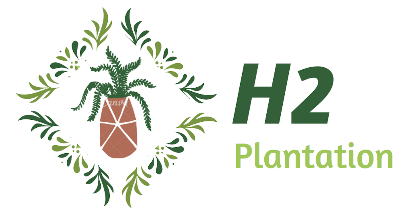 https://my.mncjobz.com/company/h2-plantation-1647065165